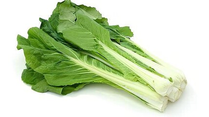 Chinese Cabbage - A Fresh and Nutritious Vegetable Display. The Green and White Chinese Cabbage, with Its Lush Leaves and Firm Structure, Standing Out as a Staple in Many Cuisines