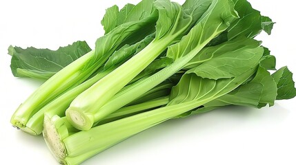 Chinese Cabbage - A Fresh and Nutritious Vegetable Display. The Green and White Chinese Cabbage, with Its Lush Leaves and Firm Structure, Standing Out as a Staple in Many Cuisines