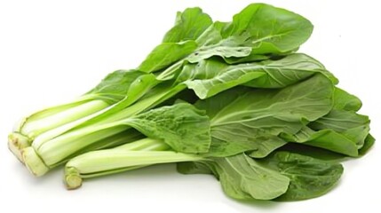 Chinese Cabbage - A Fresh and Nutritious Vegetable Display. The Green and White Chinese Cabbage, with Its Lush Leaves and Firm Structure, Standing Out as a Staple in Many Cuisines