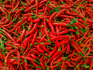 Fototapeta premium Chilli (Capsicum annuum L. and Capsicum frutescens L.) is a hot-tasting tropical belonging to the Solanaceae family. Pile of red chillie papper . Focus on fruit, exposure, noisy, similar others
