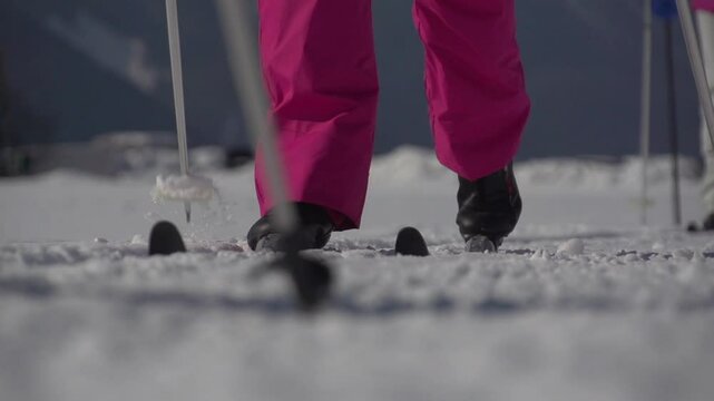 Ski de fond