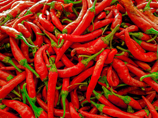 Chilli (Capsicum annuum L. and Capsicum frutescens L.) is a hot-tasting tropical belonging to the Solanaceae family. Pile of red chillie papper . Focus on fruit, exposure, noisy, similar others