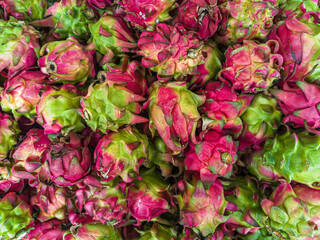 Dragon fruits are of the cactus genus Hylocereus and Selenicereus. A pile of red dragon fruits in a...