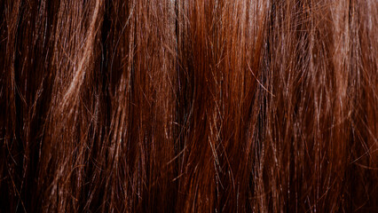 Bad Hair close up. Hair texture background closeup. Natural hair. Haircare technology, style and beauty concept. Abstract texture background. Detailed closeup.