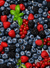 Berries background. Summer berries background. Blueberry, raspberry red currant and blackberry mix. Berry background. Fresh berry mix. Berries for berry background.