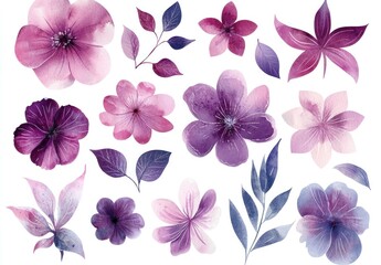 Beautiful collection of watercolor flowers in shades of purple and pink, featuring delicate petals and leaves, perfect for floral designs and decorations.