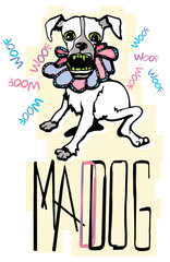 mad tiny dog