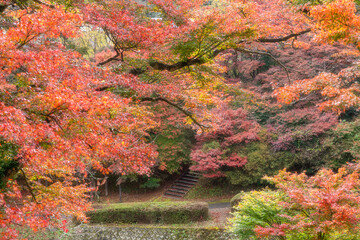栃木県　佐久山御殿山紅葉祭り
