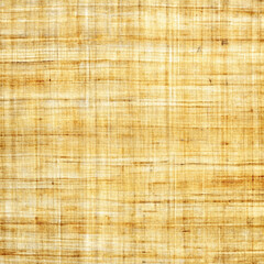 Papyrus Texture Background and Color Trends