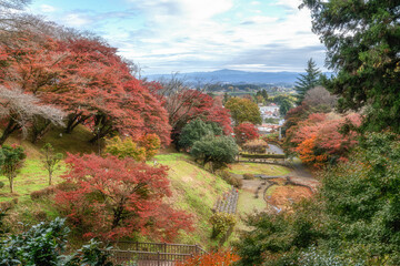 Obraz premium 栃木県 佐久山御殿山紅葉祭り 