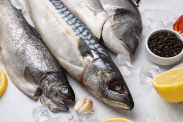 Sea food. Different types of raw fish and products on white tiled table, closeup