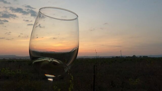 Maridaje con cristalina copa de vino blanco al atardecer en vi&ntilde;edo