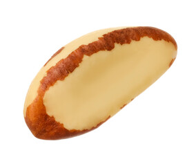 One tasty Brazil nut isolated on white