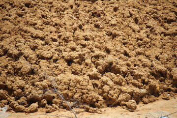 The texture of dry muddy soil is light brown in color