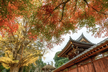 茨城県大子町　高徳寺の紅葉風景
