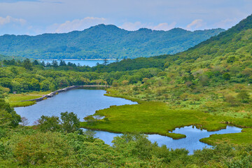 夏の群馬県立赤城公園(鳥居峠)から見た覚満淵と大沼方面