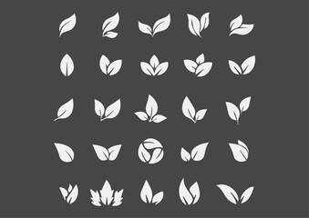 vector colorful leaf plant drawing sets designs