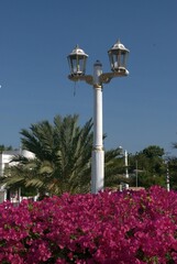 Las plazas y parques son una parte muy importante en la vida de la ciudad.