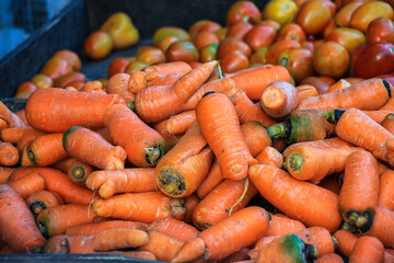 Close-up view of a pile of bright orange carrots at a farmer's market. Tomatoes are visible in the background. A Pile of Freshly Harvested Carrots at a Market.
