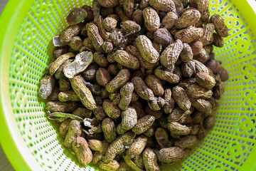 Close-up view of a bowl full of shelled peanuts Ready to Eat. Close-up view of freshly harvested peanuts in a green plastic basket.