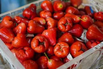Close-up view of many rose apples in a plastic basket at the market. Vibrant Red Rose Apples in a Market Basket.
