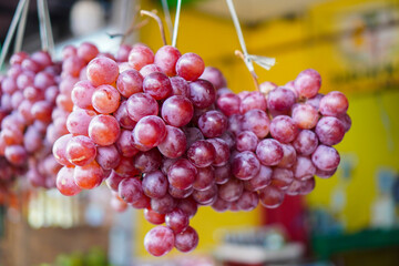 Three bunches of red grapes hanging at a market. The grapes appear plump and ripe. Close-up of three bunches of ripe red grapes hanging in a market.