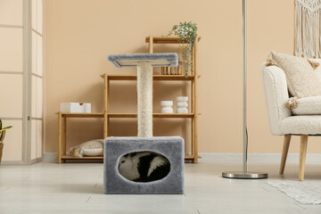 Interior of light living room with cute cat in scratcher