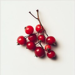 Goose berry isolated on a white background, close up