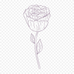 Hand drawn spring flowers illustration. floral illustration