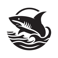 shark illustration