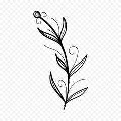 Hand drawn spring flowers illustration. floral illustration