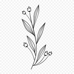 Hand drawn spring flowers illustration. floral illustration