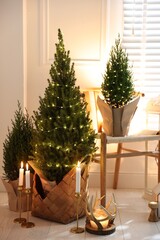 Small spruce trees with Christmas lights and other decor indoors