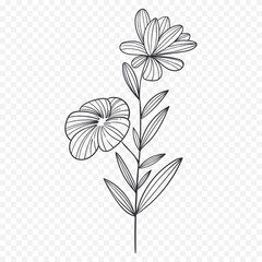 Hand drawn spring flowers illustration. floral illustration