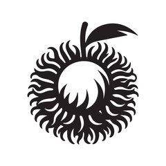 illustration of an Rambutan fruit