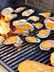 A vibrant close-up of fresh oysters grilling on an open flame, topped with melted butter and cheese. The glowing fire enhances the rich colors and textures, creating a mouthwatering scene.