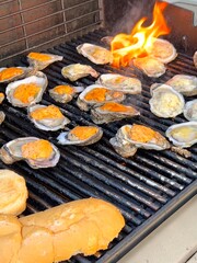 A vibrant close-up of fresh oysters grilling on an open flame, topped with melted butter and cheese. The glowing fire enhances the rich colors and textures, creating a mouthwatering scene.