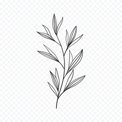 Hand drawn spring flowers illustration. floral illustration