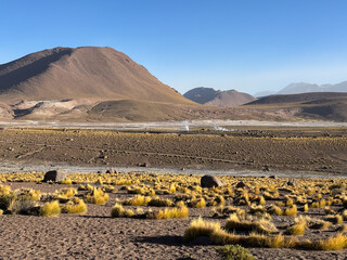 Geysers del Tatio: A Beleza Vulcânica no Deserto do Atacama, Chile