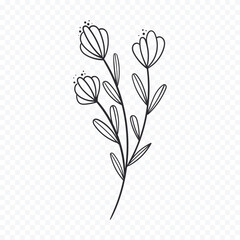 Hand drawn spring flowers illustration. floral illustration