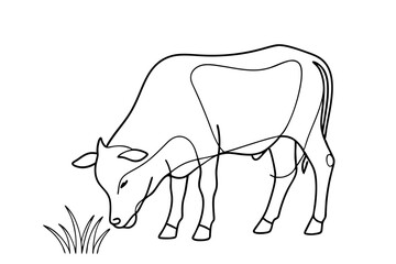 Cow Eating Grass Nature’s Process Displayed on White