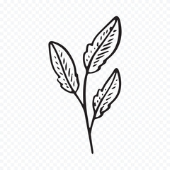 Hand drawn spring flowers illustration. floral illustration