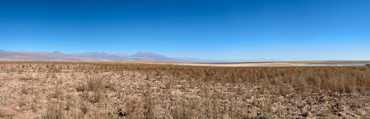 Laguna Tebinquiche: Beleza Surreal no Deserto do Atacama, Chile