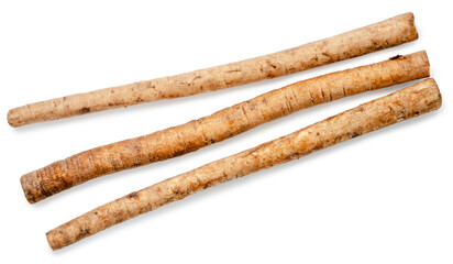 Gobo or Burdock Root herb medicinal plants isolated on white background. Gobo herb on white background with clipping path.