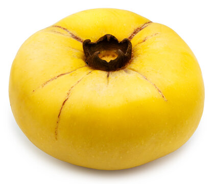 Gold Apple fruits, Diospyros Decandra Lour fruits isolated on white background. Diospyros decandra herb on white background with clipping path.