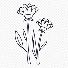 Hand drawn spring flowers illustration. floral illustration