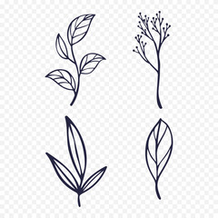 Hand drawn spring flowers illustration. floral illustration