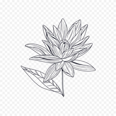 Hand drawn spring flowers illustration. floral illustration