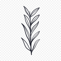 Hand drawn spring flowers illustration. floral illustration