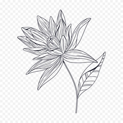 Hand drawn spring flowers illustration. floral illustration